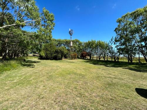 a large grass field with trees and a palm tree at El LUCERITO in Mar de Ajó
