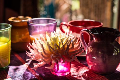 een bloem in een roze vaas op een tafel bij La Petite Calanque in Marseille