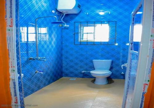a blue bathroom with a toilet and a shower at Elios Hotels in Ughelli