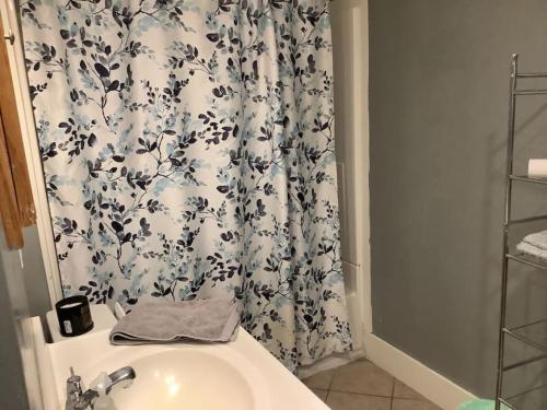 a bathroom with a shower curtain with a sink at Spacious Inviting Home by BU UHS & Guthrie in Johnson City