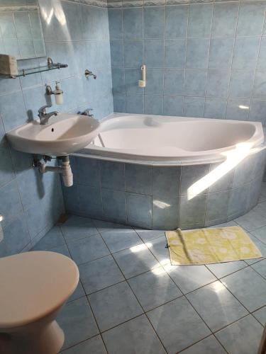 uma casa de banho com um lavatório, uma banheira e um WC. em Štramberk V Kútě em Štramberk