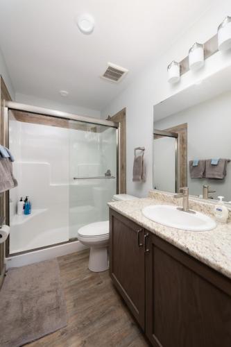 a bathroom with a sink and a toilet and a shower at The Antler Ridge Cabin in Valemount
