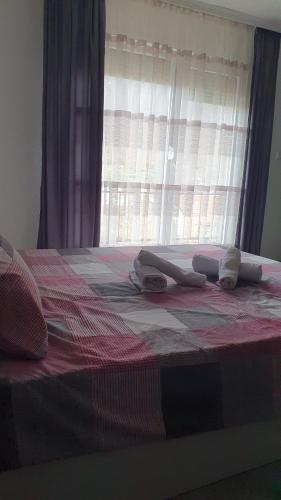 a bedroom with a bed with a window at Flat in Trpejca in Ohrid