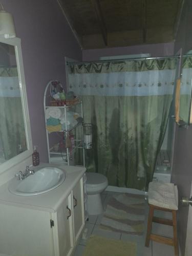 een badkamer met een wastafel, een toilet en een douche bij The Whitewater Meadows in Spanish Town