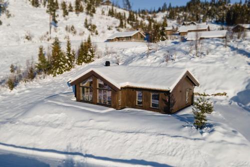 una cabaña de madera en la nieve con nieve en el techo en Ski inn-ski ut hytte i Aurdal - helt ny, en Aurdal