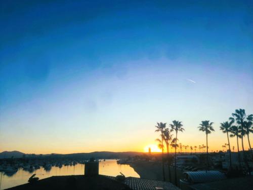 a sunset over a body of water with palm trees at Harbor Lookout - Luxury Beach Home with Coastal Views - Walk to everything! in Newport Beach