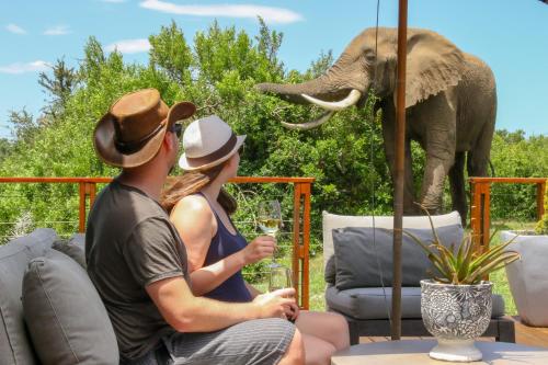 a man and woman sitting on a couch watching an elephant at Barefoot Addo Elephant Lodge in Addo