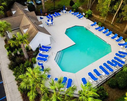 an overhead view of a swimming pool with blue lounge chairs and a bunch oficans at Suite Carolina in Charleston
