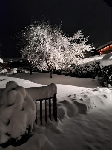 Afbeelding uit fotogalerij van Gästehaus Verena in Mondsee