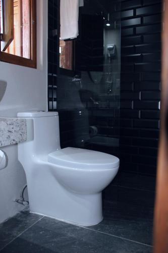 a white toilet in a bathroom with a shower at Hotel Amor y Paz in Real de Catorce