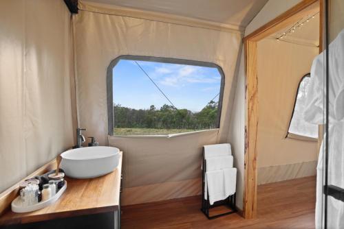 Akuna Estate - Luxury Glamping Experience في Excelsior: حمام في خيمة مع حوض ونافذة