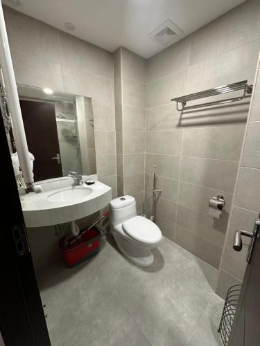 ein Bad mit einem WC und einem Waschbecken in der Unterkunft Crystal Loft Apartment 212 in Bakuriani