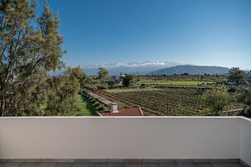una pared blanca con vistas a un viñedo en Villa Magia en Galangádhos