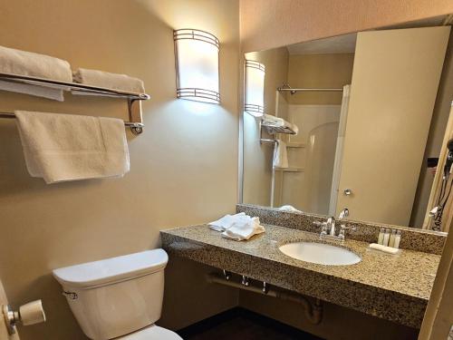 a bathroom with a toilet and a sink and a mirror at The Landmark Hotel in Pikeville
