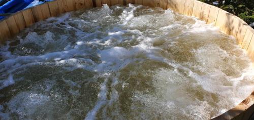 a pool of water in a wooden container at Vila Alunis in Buşteni