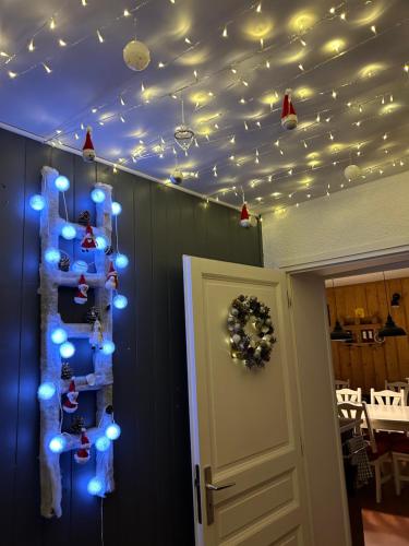 a room with christmas lights on the ceiling at Gîte Edelweiss Saint-Martin-en-Vercors in Les Barnoux