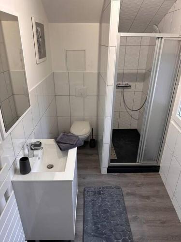 une salle de bain avec une douche, un lavabo et des toilettes dans l'établissement Charmant Appartement, à Bohain-en-Vermandois