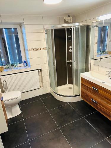 y baño con ducha, aseo y lavamanos. en Le Refuge "Domaine harmonieux", en Mackenheim