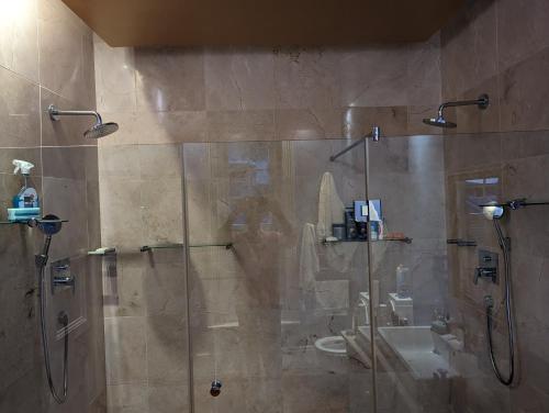 een badkamer met een douche, een wastafel en een toilet bij La Montagne Observatory in Kaapstad