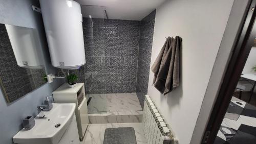 uma pequena casa de banho com um lavatório e um chuveiro em Casa D em Topliţa