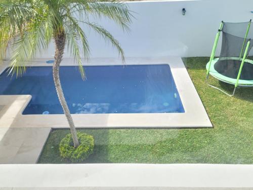 a palm tree sitting next to a swimming pool at Casa Teques con aire acondicionado in Tequesquitengo
