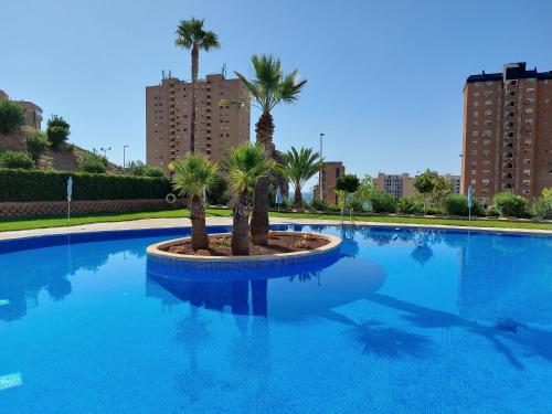 une grande piscine avec des palmiers dans une ville dans l'établissement Las Marinas 8o con Vistas al Mar y Piscina by Vero, à Benidorm