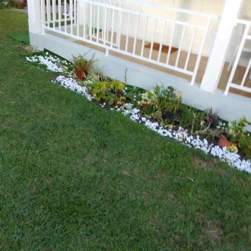 a garden of white flowers next to a white fence at Maison verte in Capesterre-Belle-Eau