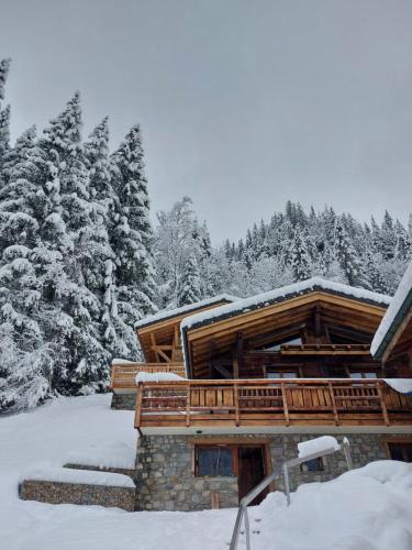 Savoya Lodges v zimě
