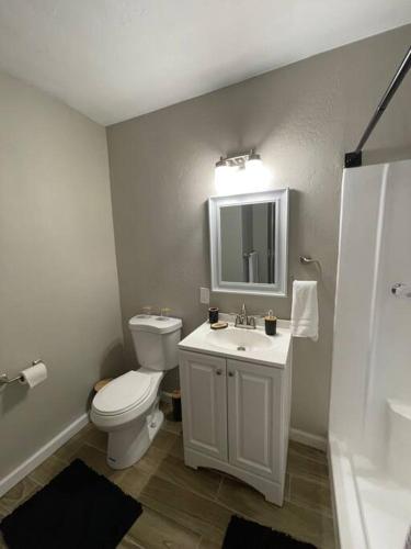 a bathroom with a toilet and a sink and a mirror at New Stylish Midtown With One Bedroom (Unit D) in Phoenix