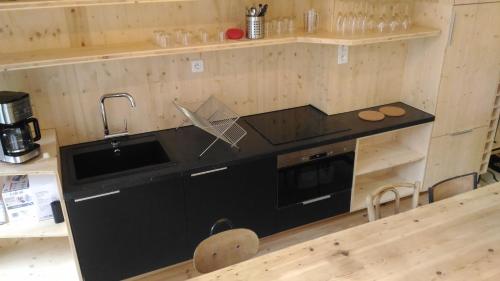 une cuisine avec un comptoir noir et un évier dans l'établissement Lons appartement T1 centre ville, à Lons-le-Saunier