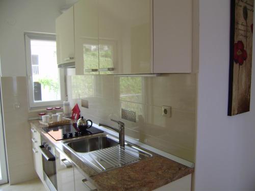 a kitchen with a sink and a counter top at Apartment Lenka in Zavala