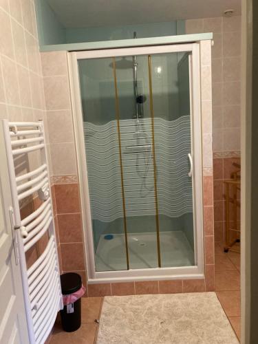a shower with a glass door in a bathroom at Gîte Barbafeuilles in Oisy