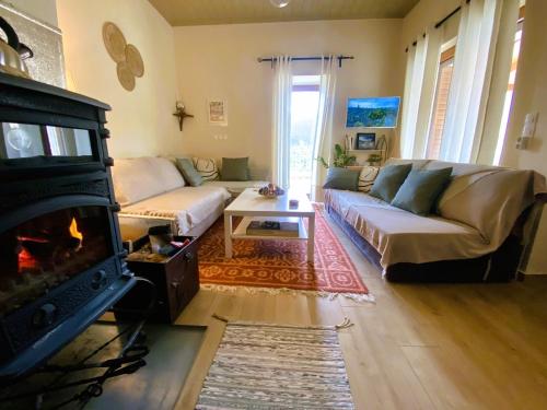 uma sala de estar com um sofá e uma lareira em Methydrion Country House em Vytina