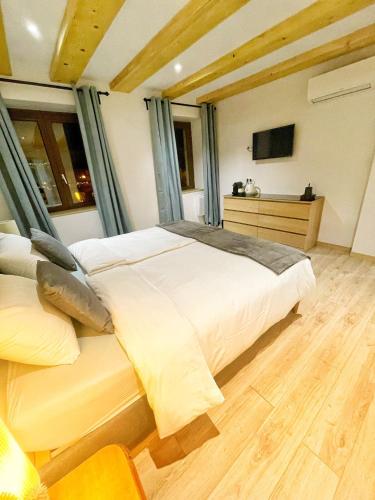 a bedroom with a large bed and a television at Chambre Super Broussard in Eguisheim