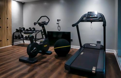 a room with a gym with a treadmill and weights at Sunflower Residence Victoria Island in Lagos