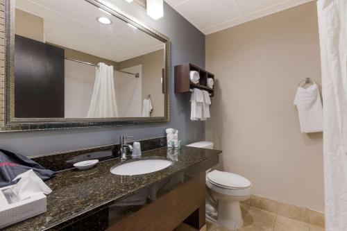 Albemarle的住宿－阿爾伯馬爾希爾頓恆庭酒店，一间带水槽、卫生间和镜子的浴室