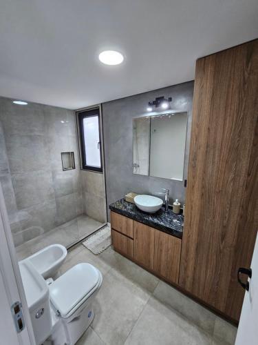 W łazience znajduje się toaleta, umywalka i prysznic. w obiekcie Andino House w mieście Ushuaia