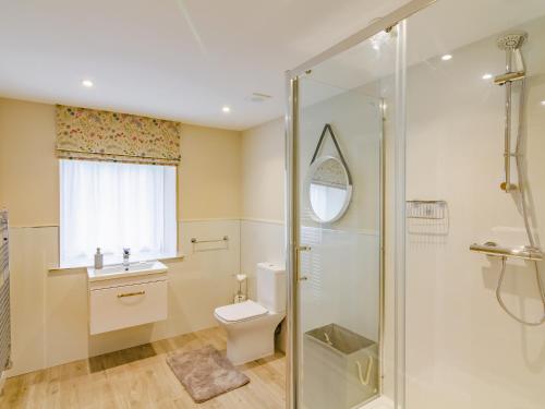 a bathroom with a shower and a toilet and a sink at Easter Caiplich - Uk30263 in Cray