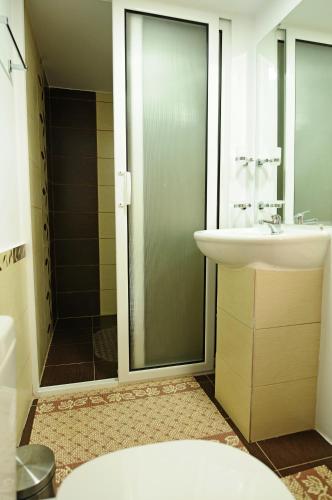 a bathroom with a sink and a shower at Route 66 in Haţeg