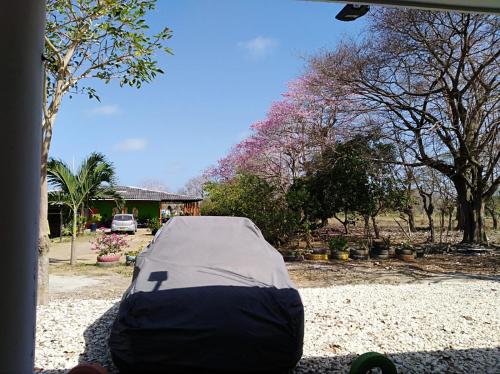 a tent sitting on the ground in a yard at DONDE...MONIK in Arboletes