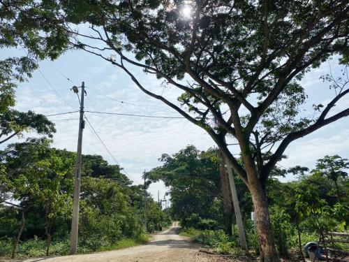 a tree on the side of a dirt road at Estudio 2, Las Castañas in Manglaralto