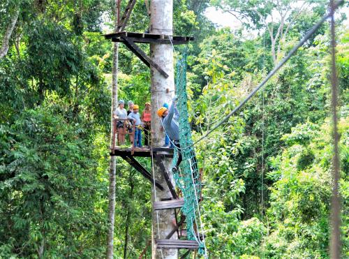 a group of people on a zip line in the jungle at Avatar Amazon Lodge & Canopy Park in Santa Teresa