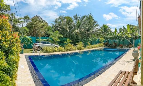 Golden Wild - Yala – Photos 3