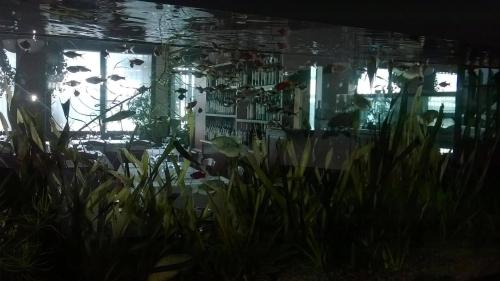a room with plants and flowers in it at Locanda Ai Due Orsi in Milan