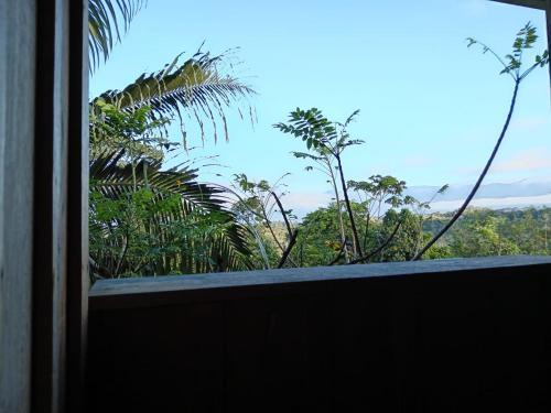 una ventana con vistas a los árboles y a las montañas en Cabaña Vistas De La Amistad, en Coto Brus