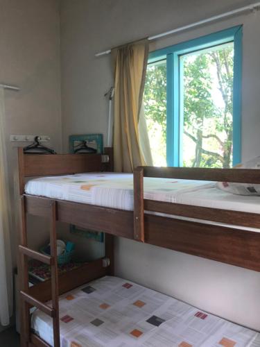 two bunk beds in a room with a window at Paikea Hostel Praia do Rosa in Praia do Rosa