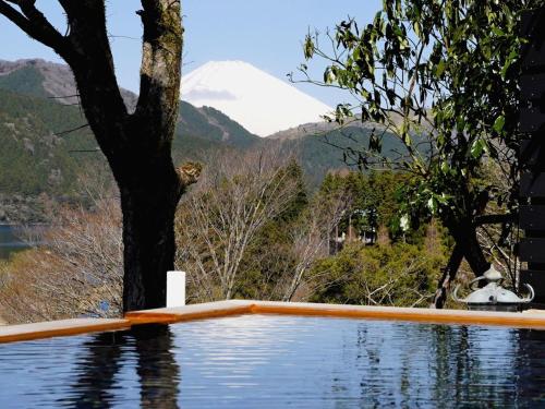 a tree in the water with a mountain in the background at Ryuguden in Hakone
