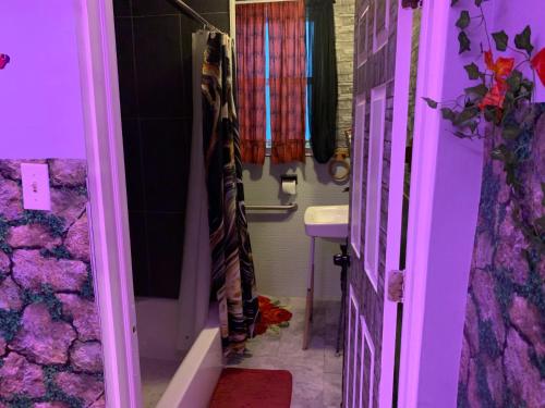baño púrpura con ducha y lavabo en Cozy Adorable Two Bedroom Luxury Suites, en Newark