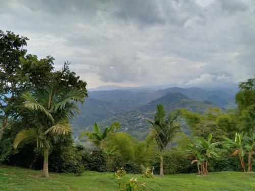 una vista de las montañas desde un campo con palmeras en Cabaña Mirador del Otún, en Pereira
