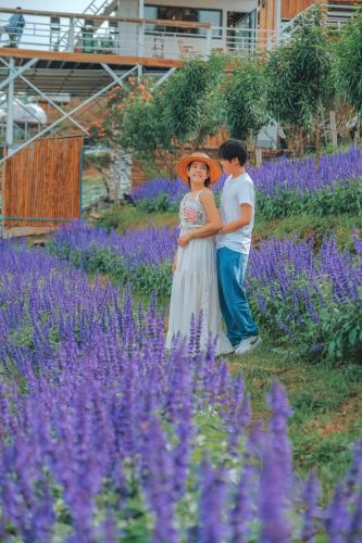a man and a woman standing in a field of purple flowers at ภูวินคาเฟ่ โฮมสเตย์ Phuwin Homestay Monjam in Mon Jam